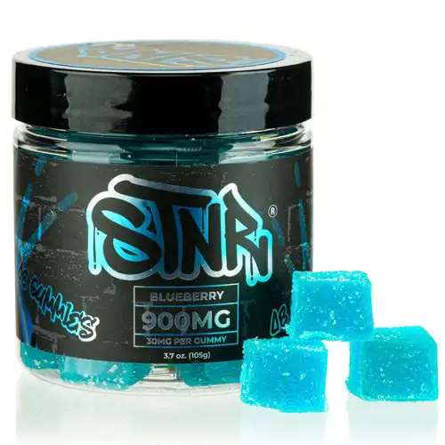 Blueberry STNR Delta 8 Gummies | Skyline Smoke Shop