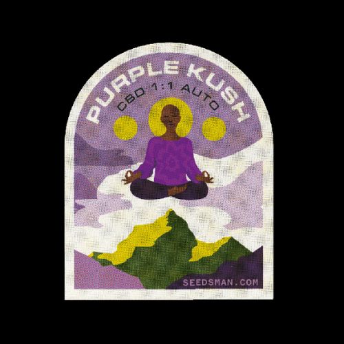 Purple Kush CBD 1:1 Auto Seeds | Feminized Autoflower