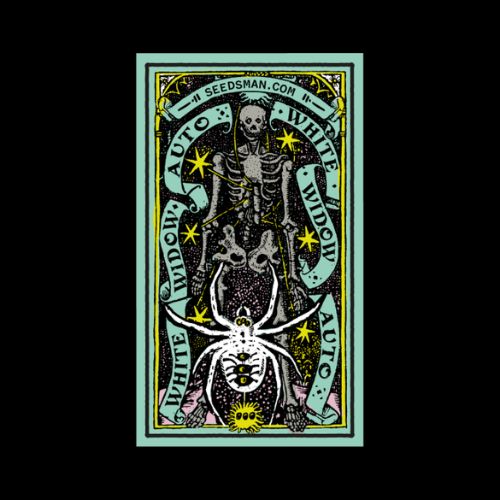 White Widow Auto Feminized Seeds | Fast Flowering Strain