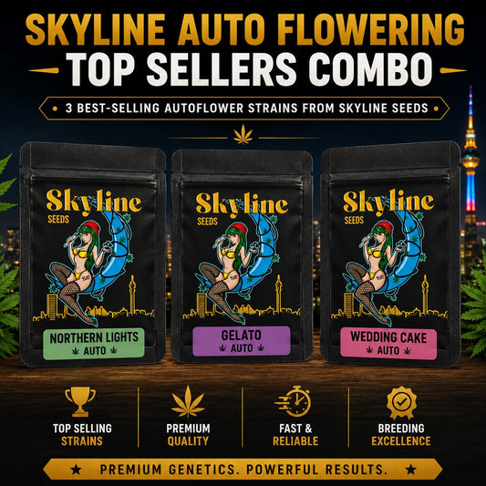 Skyline Autoflower Top Sellers Combo – Northern Lights Auto, Gelato Auto & Wedding Cake Auto Feminized Seeds Bundle

