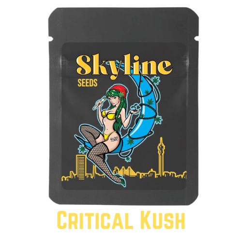 Critical Kush Feminized Cannabis Seeds | Skyline Seed Bank