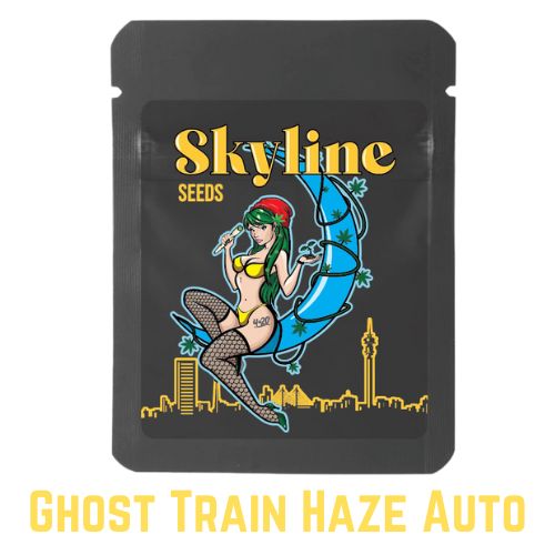 Skyline Seeds Ghost Train Haze Auto Seeds | Skyline Seed Bank