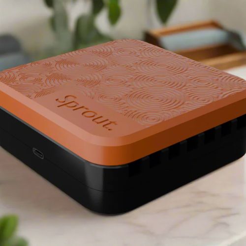 Sprout Seed Germinator | Fast & Reliable Germination