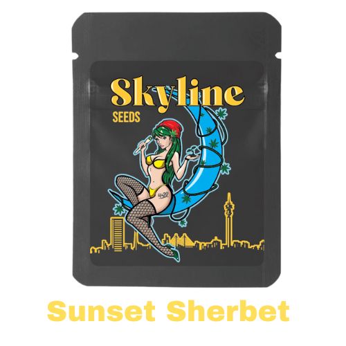 Sunset Sherbet Feminized Seeds | Skyline Seed Bank