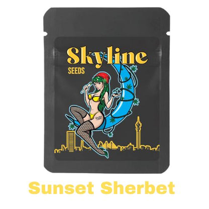 Sunset Sherbet Feminized Seeds | Skyline Seed Bank