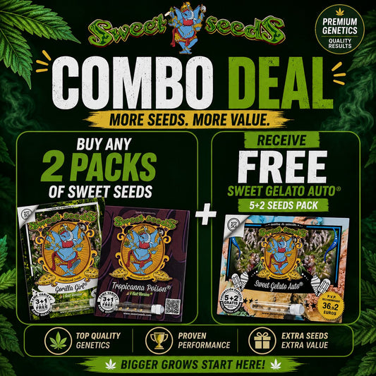 Sweet Seeds Combo  Deal