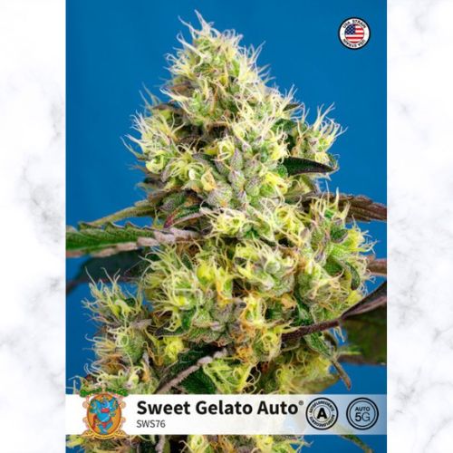Sweet Seeds Sweet Gelato Auto Seeds | Skyline Seed Bank