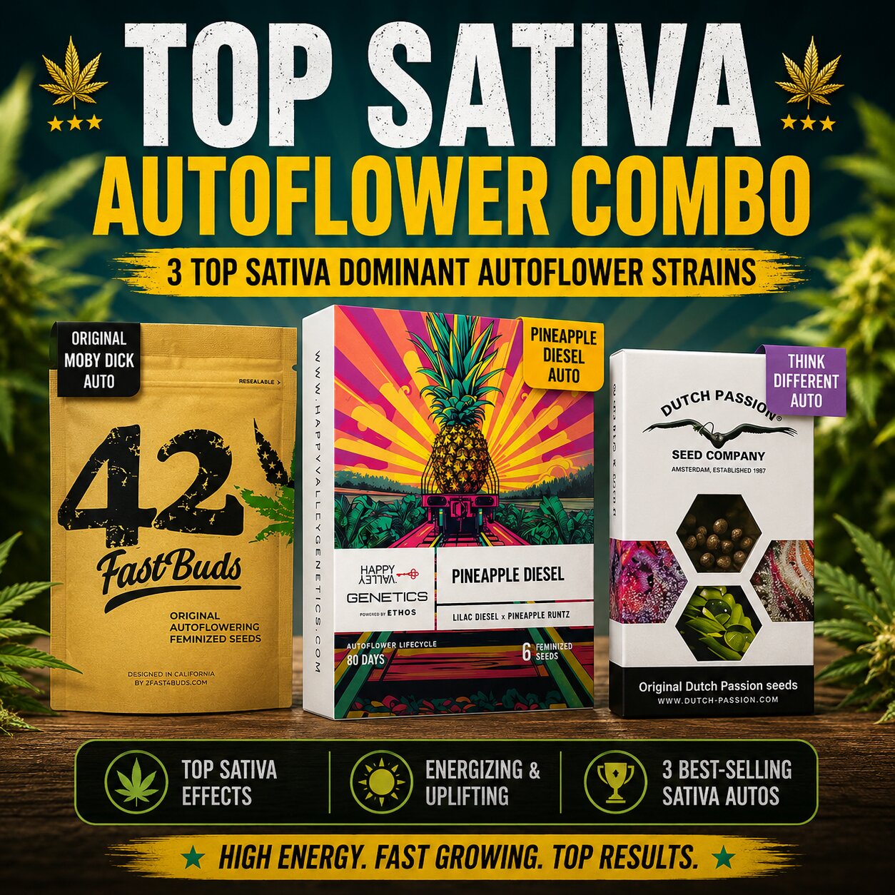 Top Sativa Autoflower Combo – Moby Dick Auto, Pineapple Diesel Auto & Think Different Auto Cannabis Seeds

