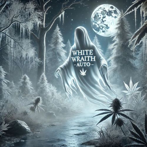 White Wraith Auto Seeds | Skyline Seed Bank