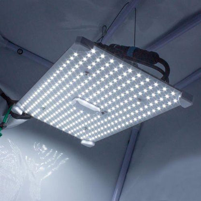 LUMii BLACK Blade 100W LED Grow Light | LUMII | Skyline Smoke Company | South Africa