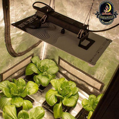 LUMii BLACK Blade 200W LED Grow Light | LUMII | Skyline Vape & Smoke Lounge | South Africa