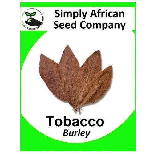 Tobacco Burley Seeds | Simply African Seed Company | Skyline Smoke Company | South Africa