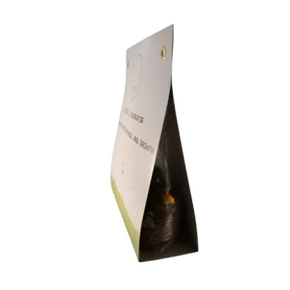Wild Spirit CO2 Mycelium Bag 1.2kg | Wild Spirit RSA | Skyline Smoke Company | South Africa