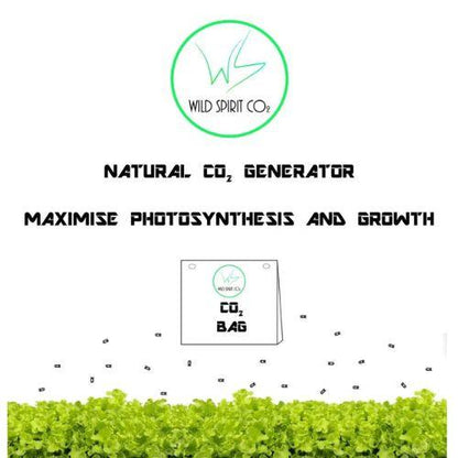 Wild Spirit CO2 Mycelium Bag 1.2kg | Wild Spirit RSA | Skyline Smoke Company | South Africa
