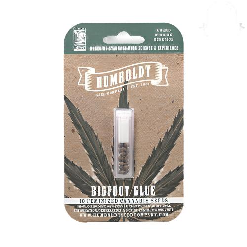 Bigfoot Glue | Humboldt Seed Company | Skyline Smoke Company | South Africa