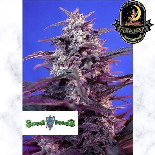 Bloody Skunk Auto | Sweet Seeds | Skyline Vape & Smoke Lounge | South Africa