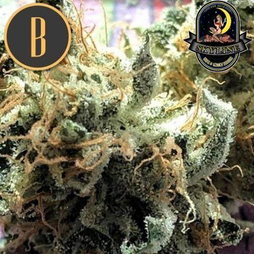 Chocolopez | BlimBurn Seeds | Skyline Smoke Company | South Africa