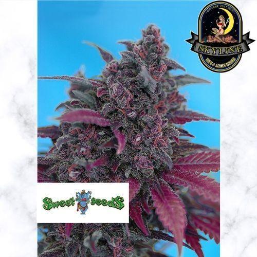 Dark Devil Auto | Sweet Seeds | Skyline Smoke Company | South Africa
