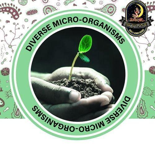 Diverse Micro-Organisms (DMO) | Afrecosoil | Skyline Vape & Smoke Lounge | South Africa