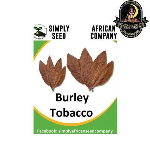 Tobacco Burley Seeds | Simply African Seed Company | Skyline Vape & Smoke Lounge | South Africa