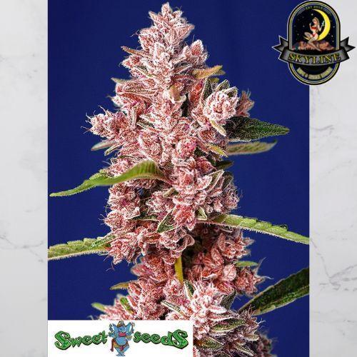 Tropicanna Poison F1 Fast Version | Sweet Seeds | Skyline Vape & Smoke Lounge | South Africa