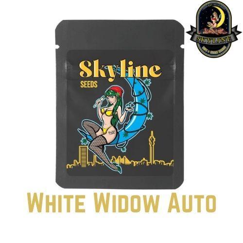 White Widow Auto | Skyline Seeds | Skyline Vape & Smoke Lounge | South Africa